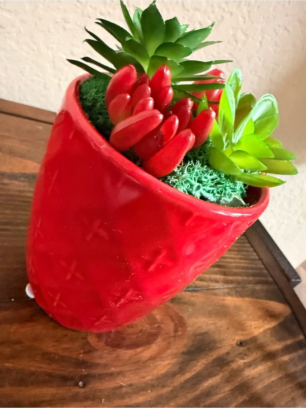 Red Ceramic Succulent Planter